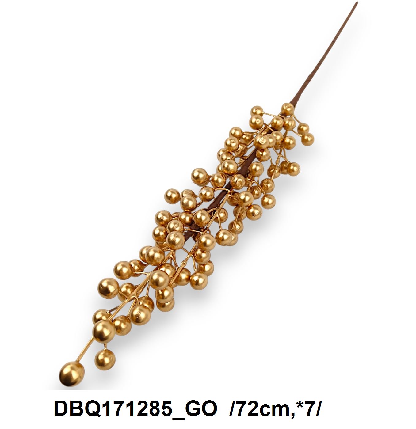 DBQ171285_GO