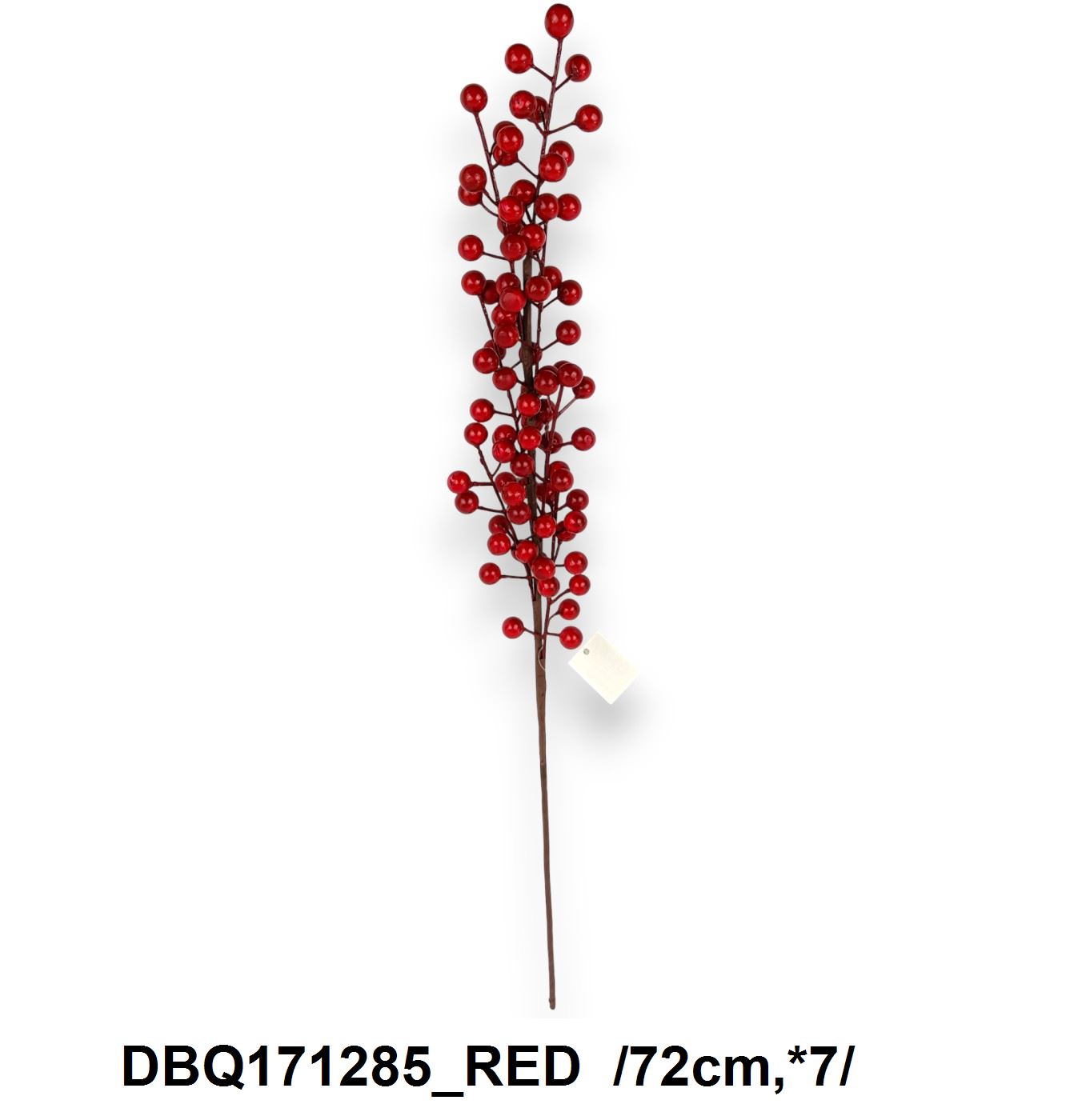 DBQ171285_RED