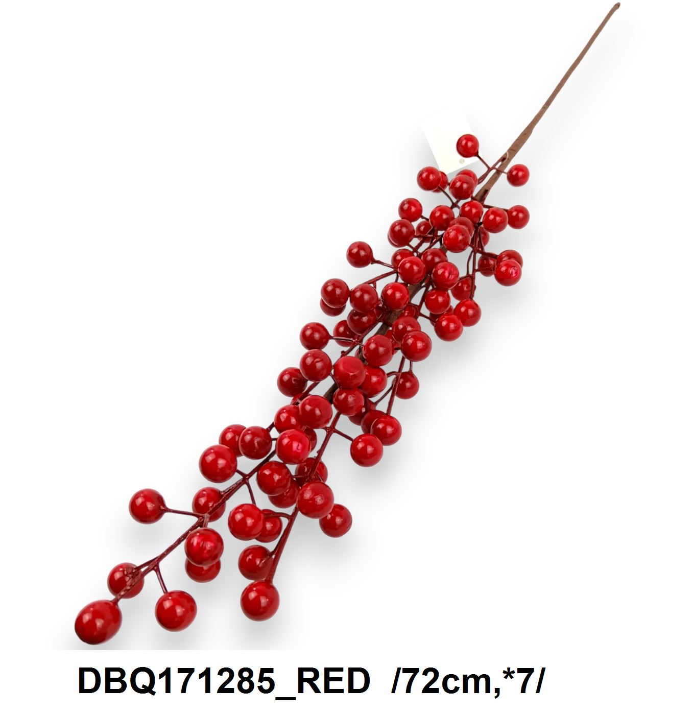DBQ171285_RED