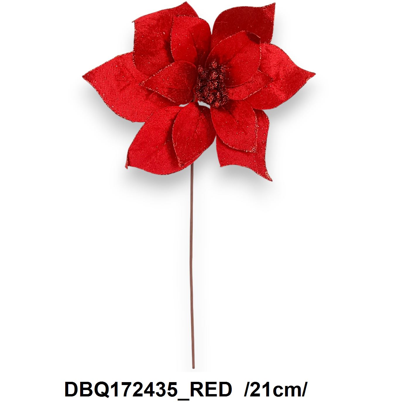 DBQ172435_RED
