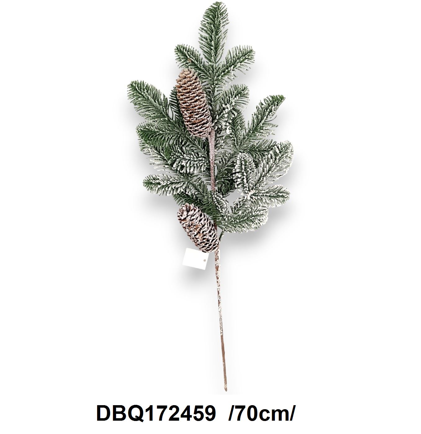 DBQ172459