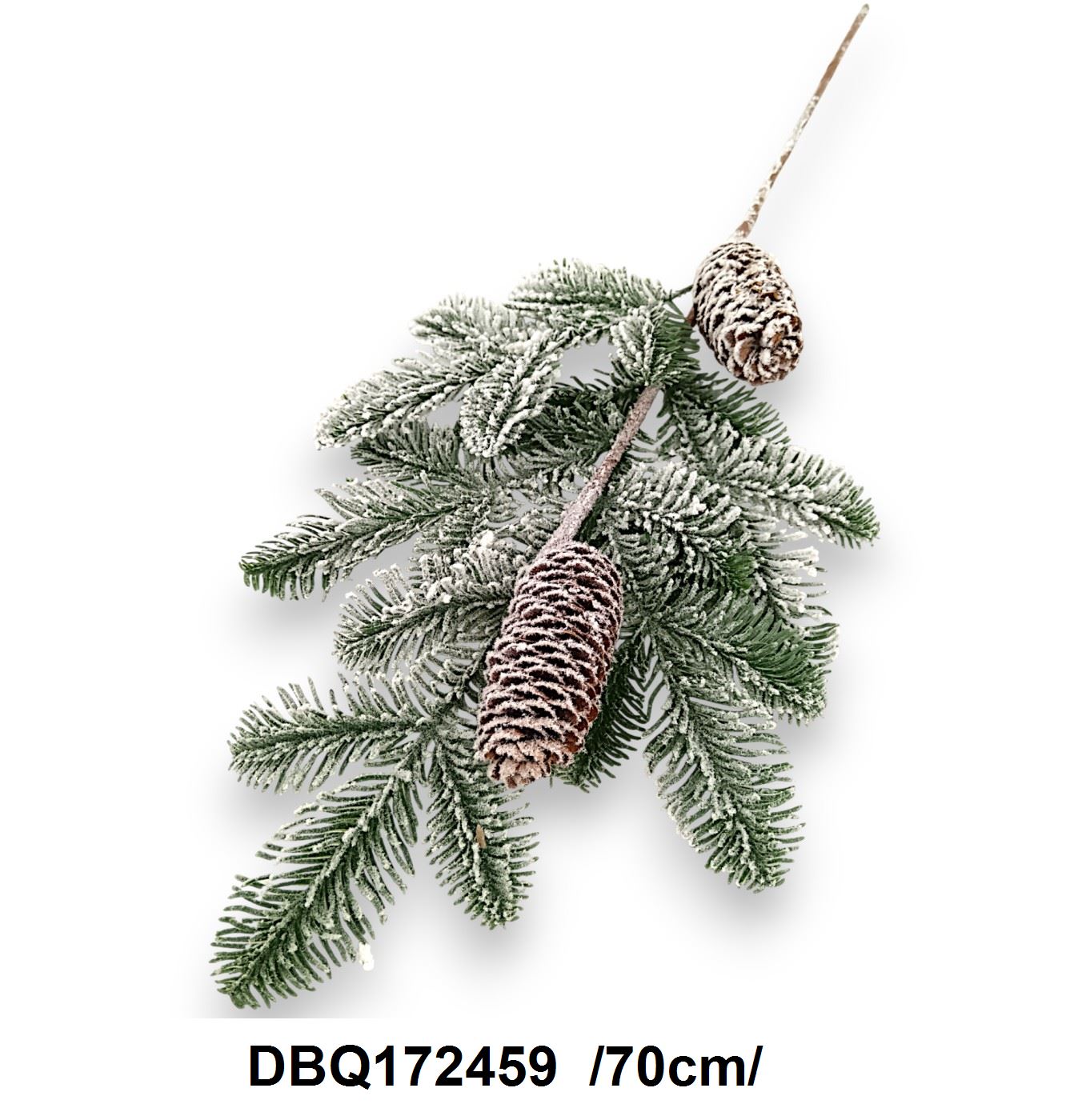 DBQ172459