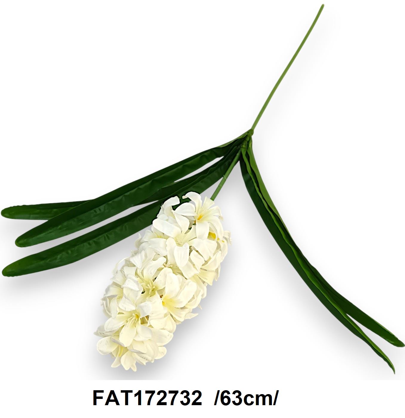 FAT172732