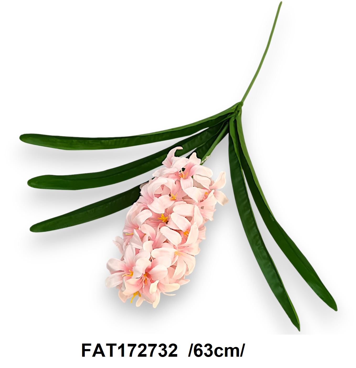 FAT172732