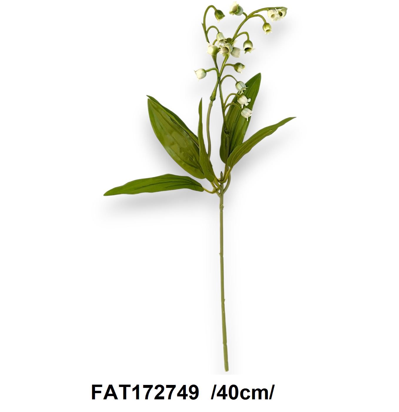 FAT172749