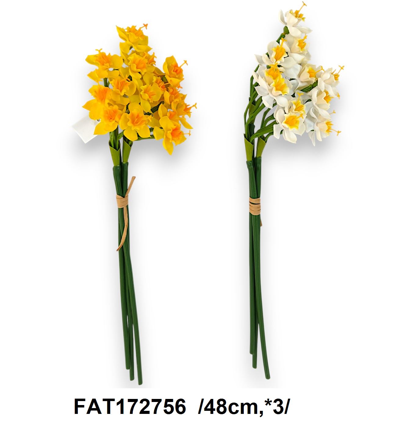 FAT172756