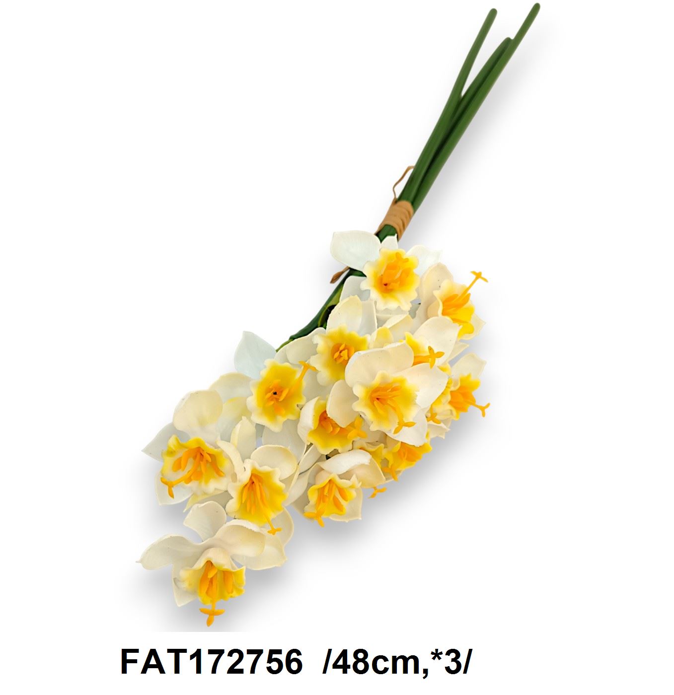 FAT172756