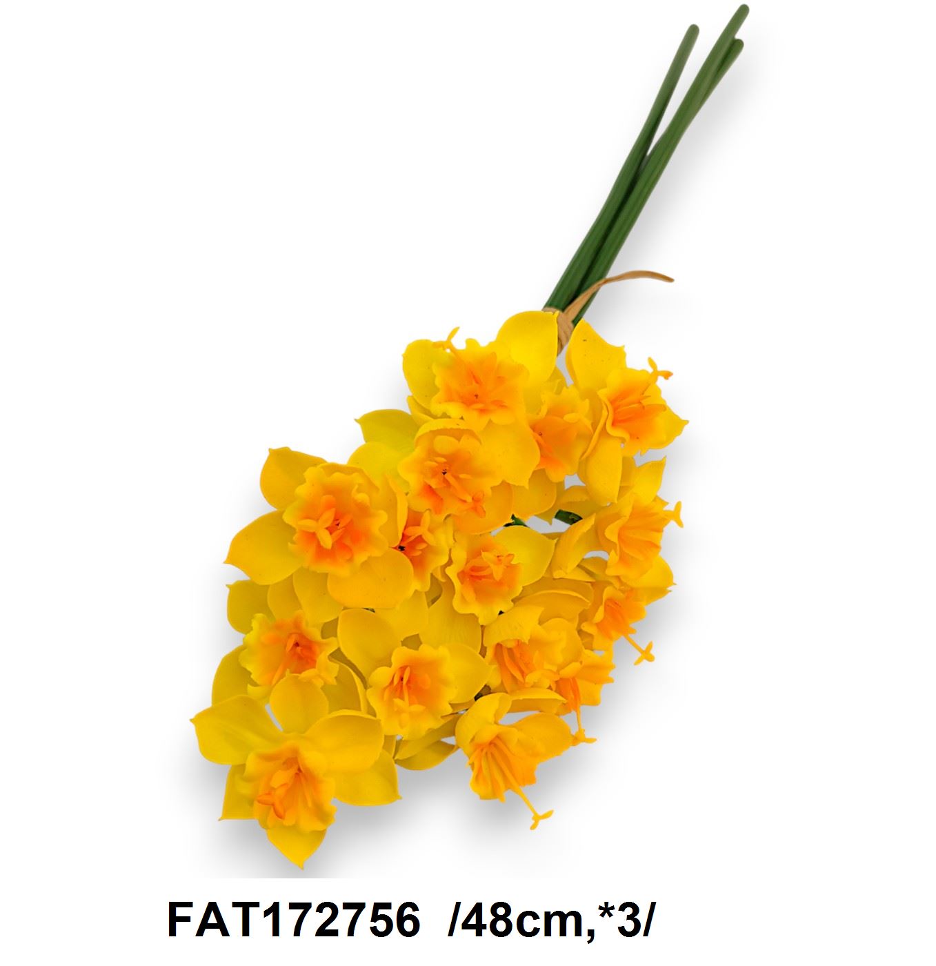 FAT172756