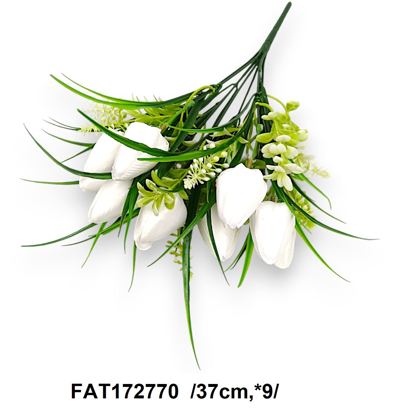 FAT172770