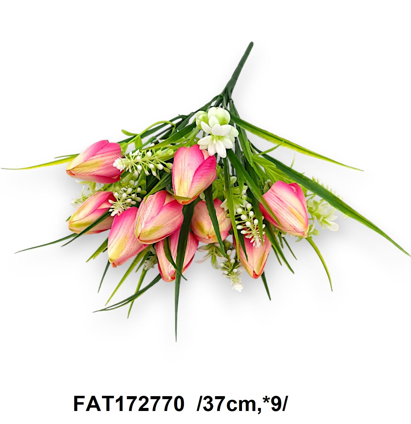 FAT172770