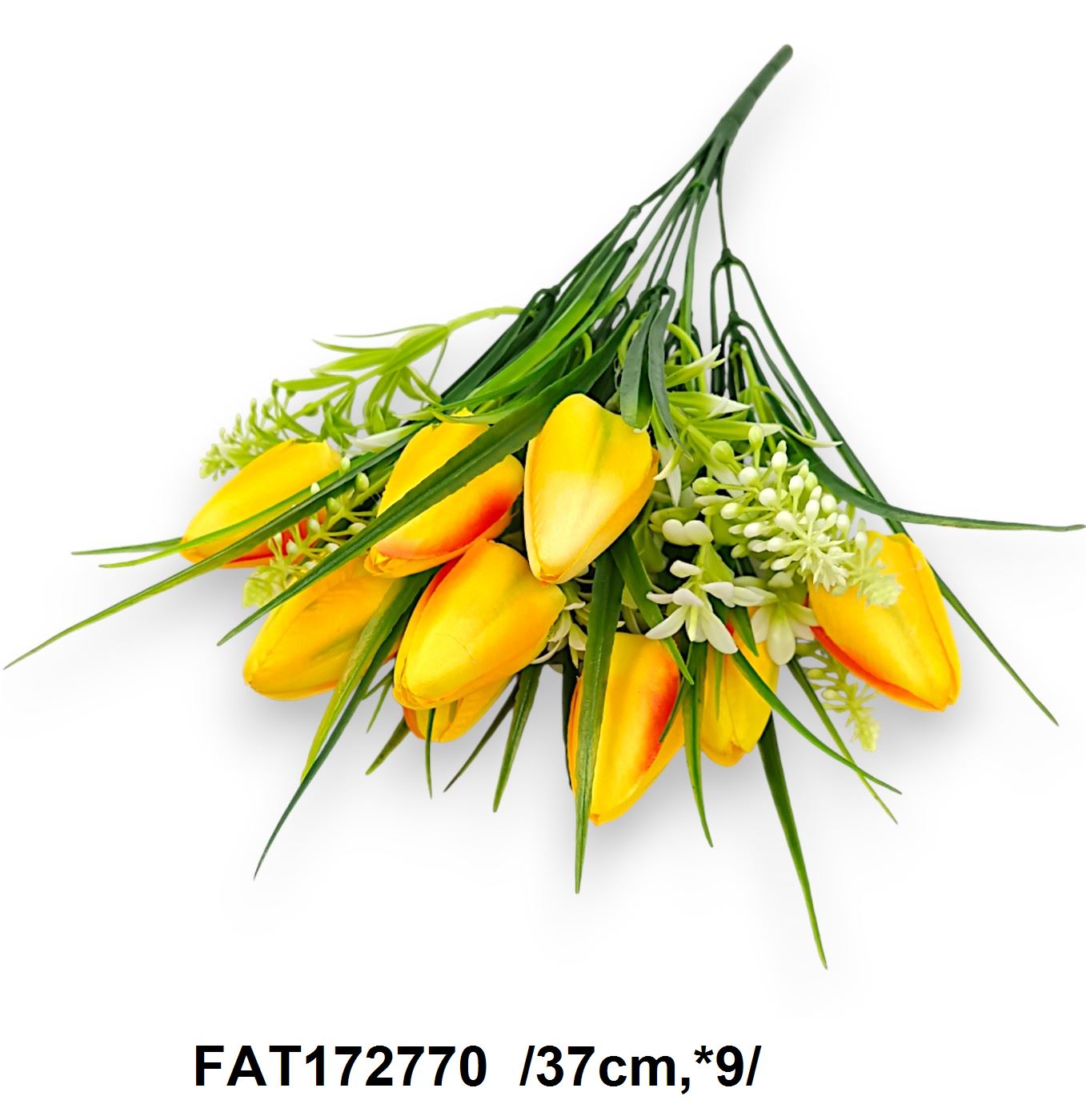 FAT172770