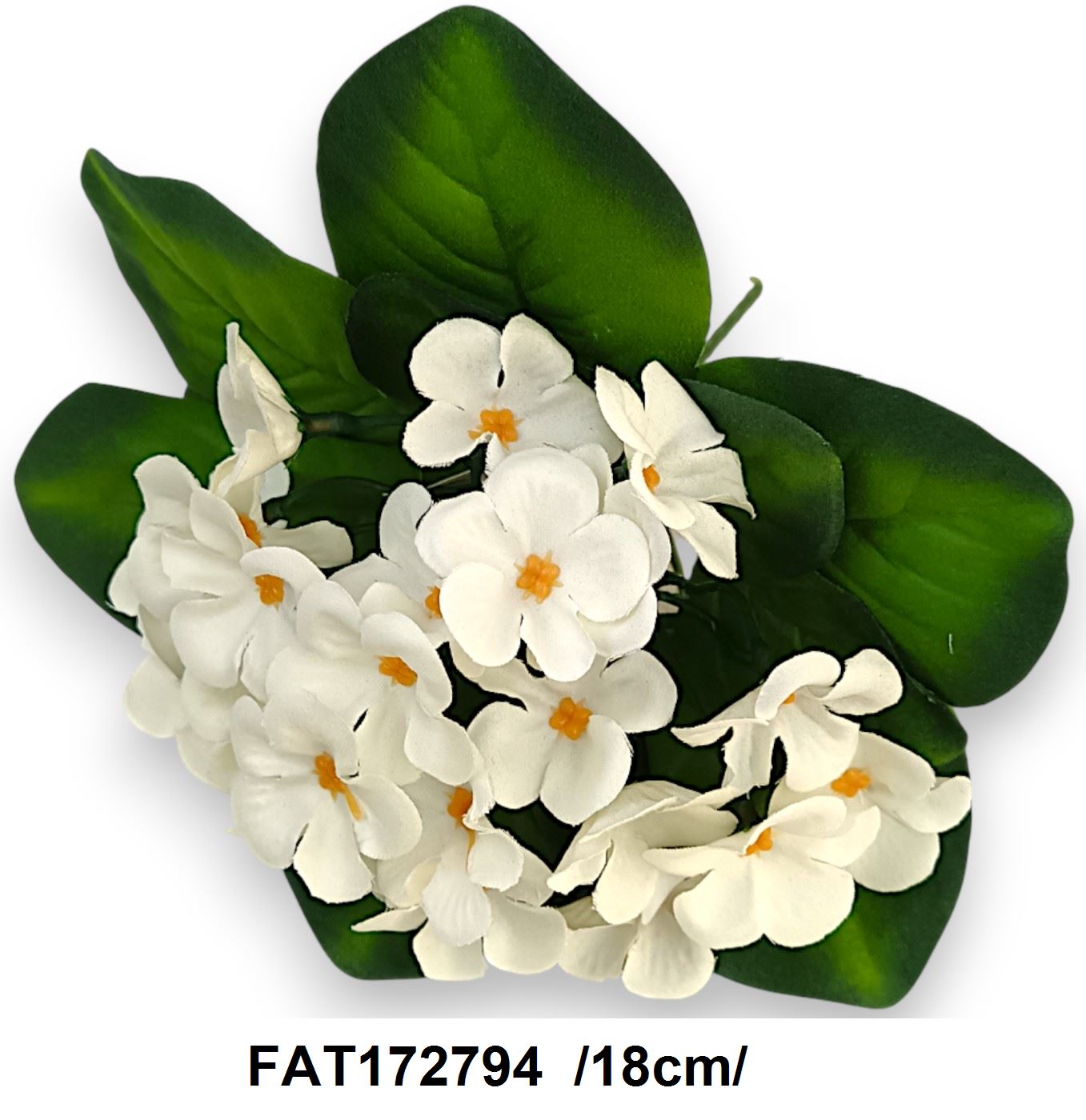 FAT172794
