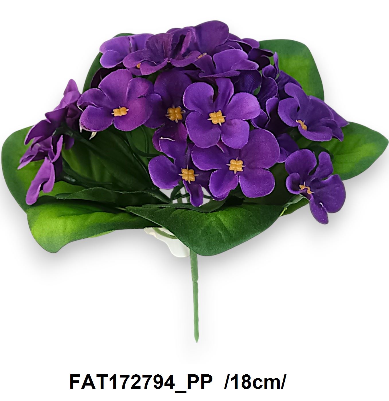 FAT172794_PP