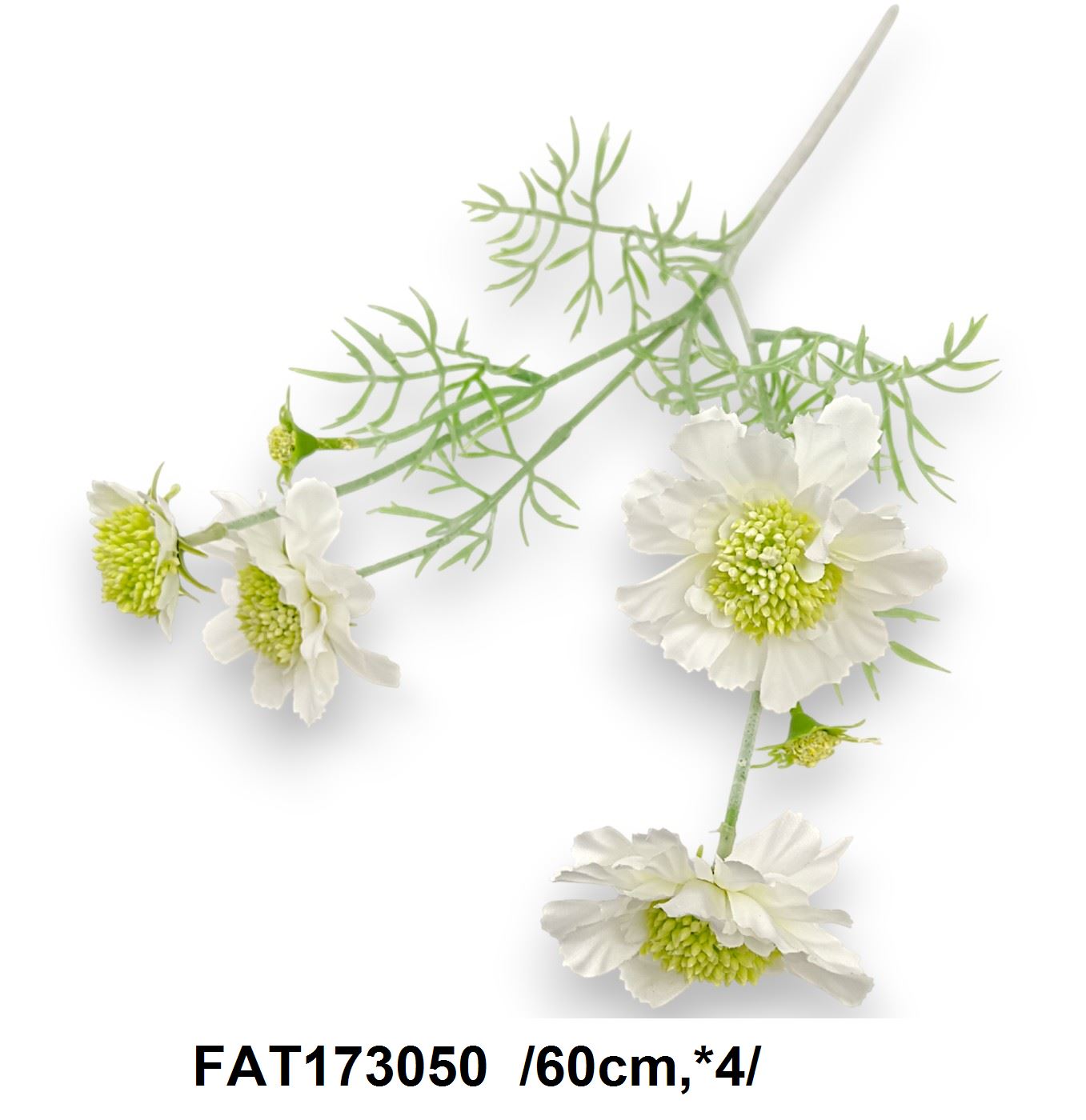 FAT173050