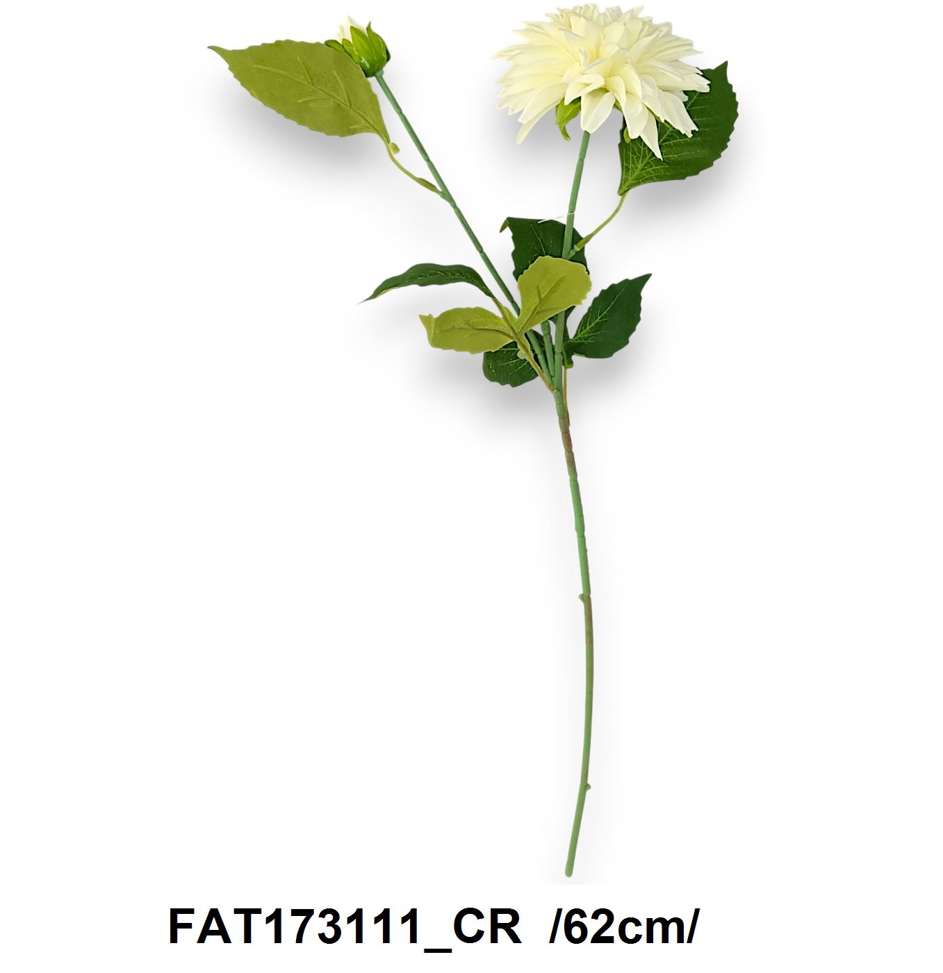 FAT173111_CR