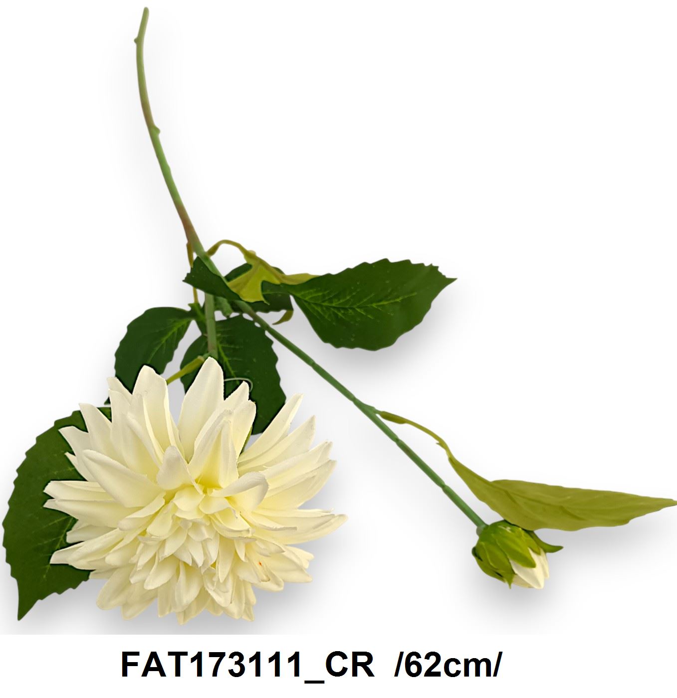 FAT173111_CR