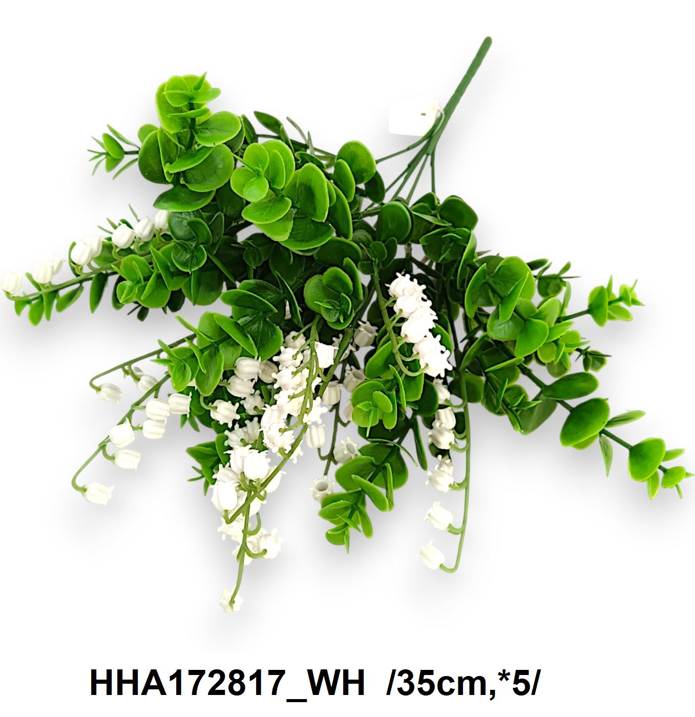 HHA172817_WH
