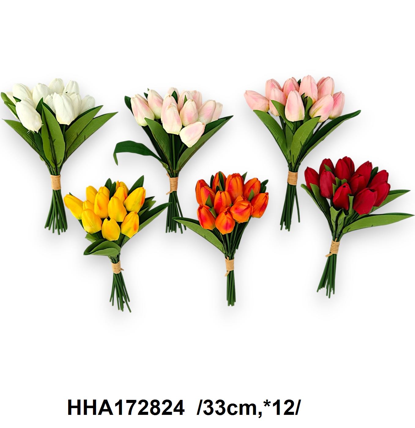 HHA172824