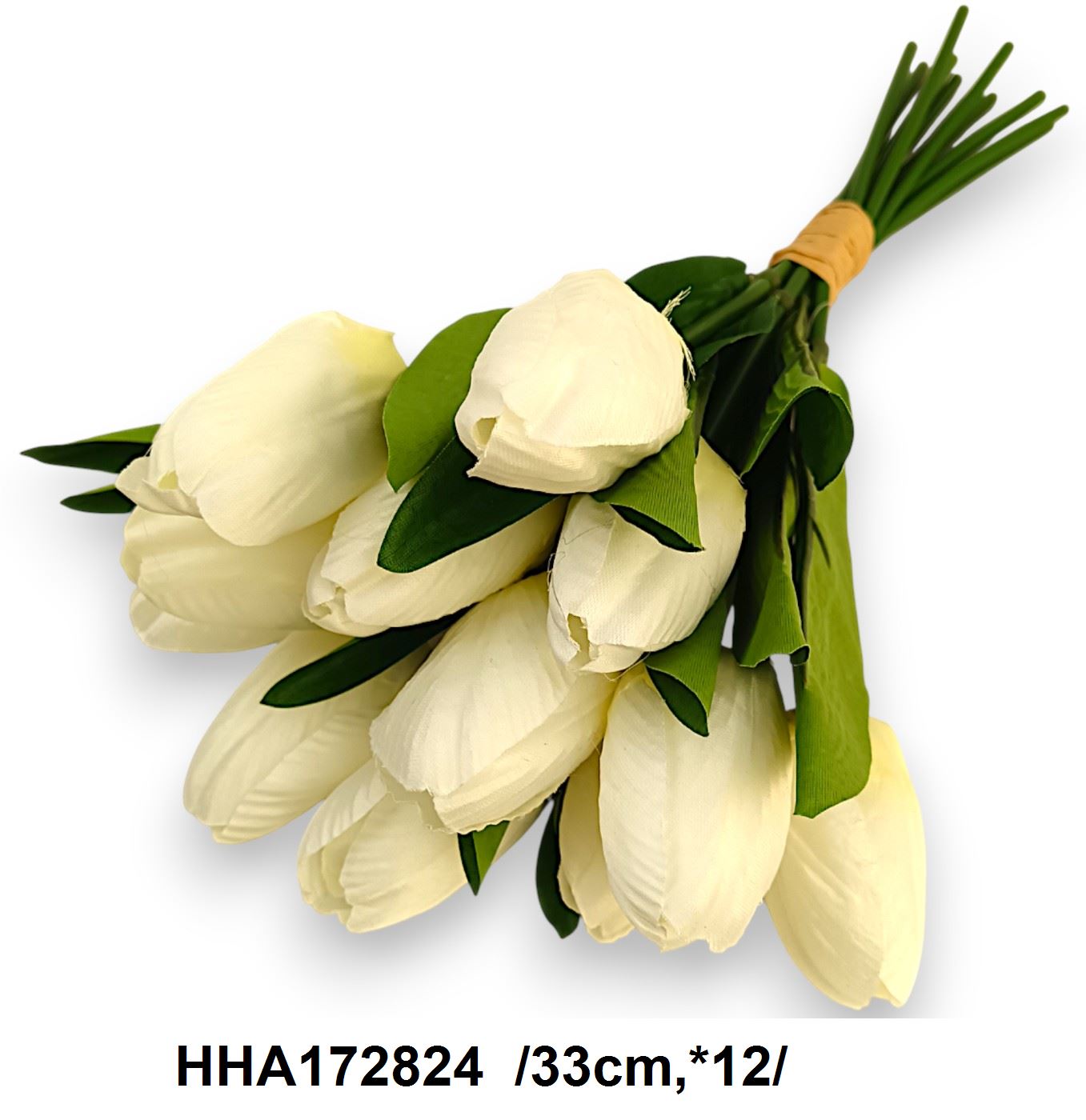 HHA172824