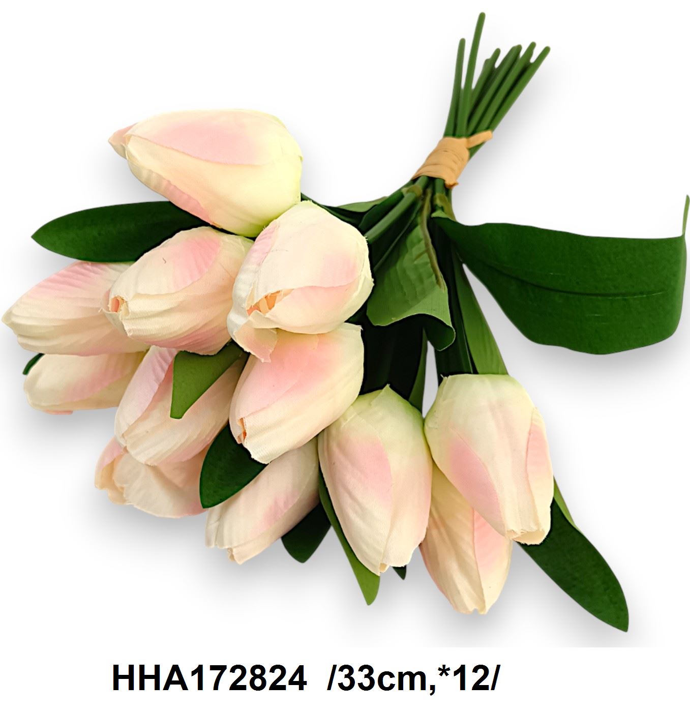 HHA172824
