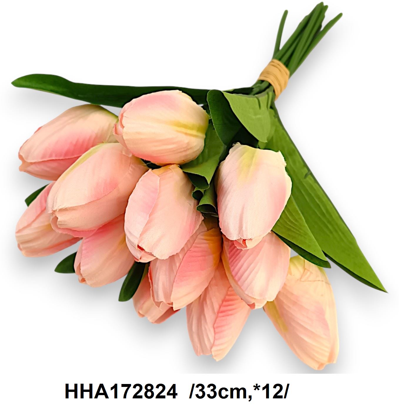 HHA172824