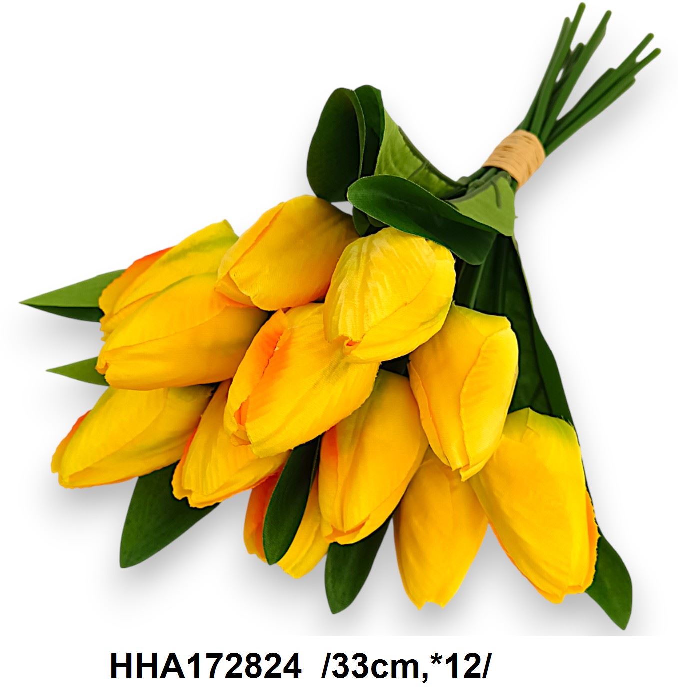 HHA172824
