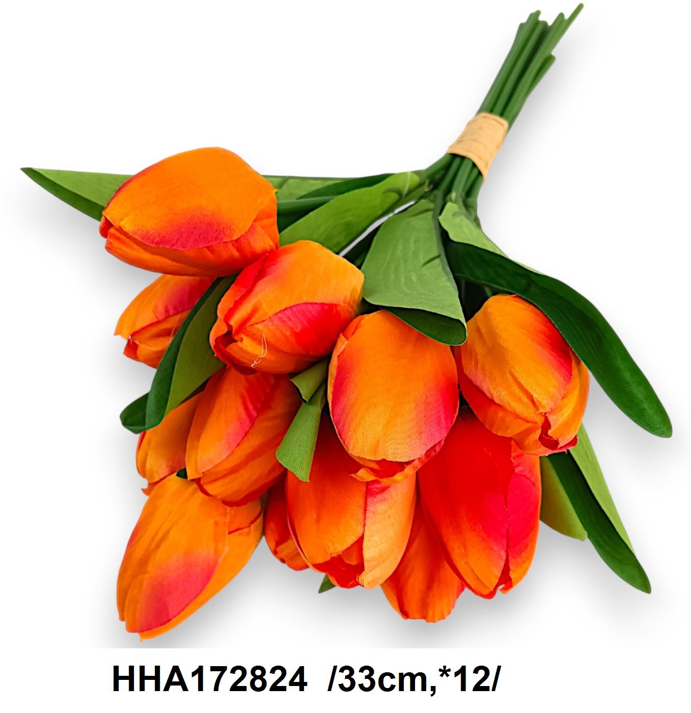 HHA172824