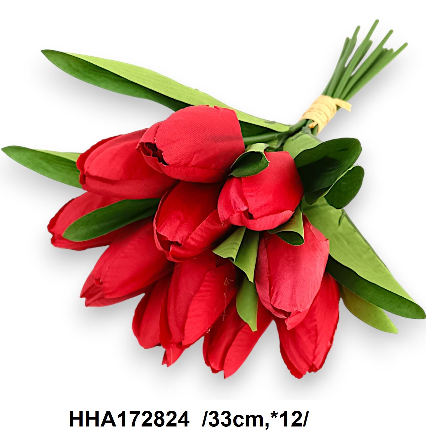 HHA172824