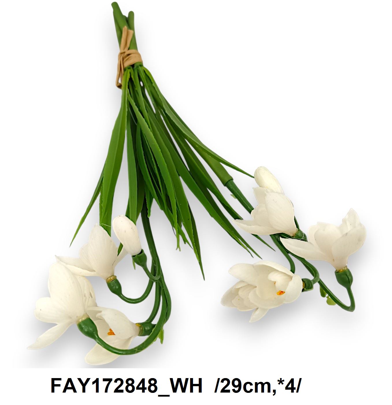 FAY172848_WH
