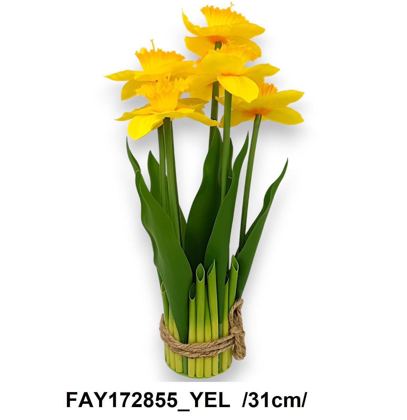 FAY172855_YEL
