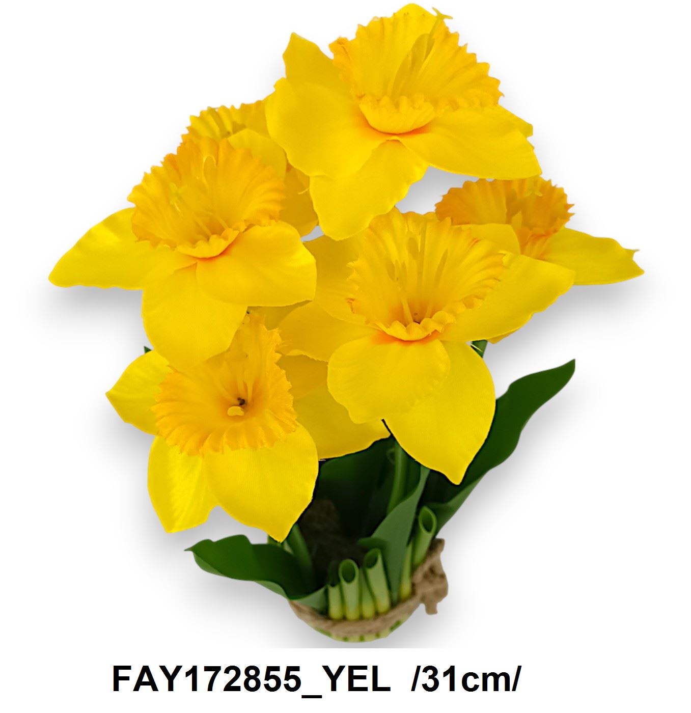 FAY172855_YEL