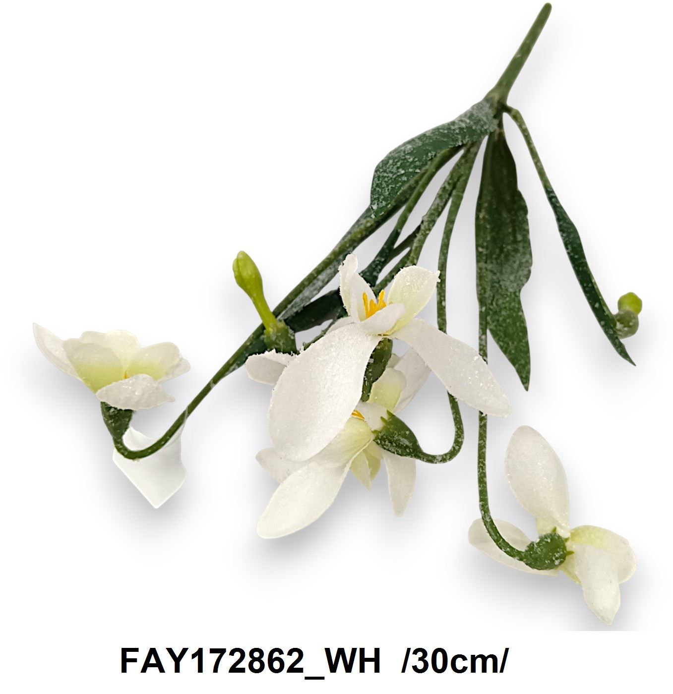 FAY172862_WH