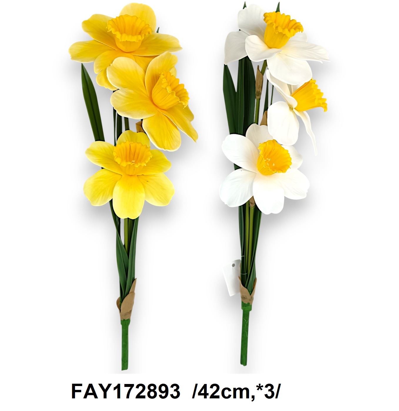 FAY172893
