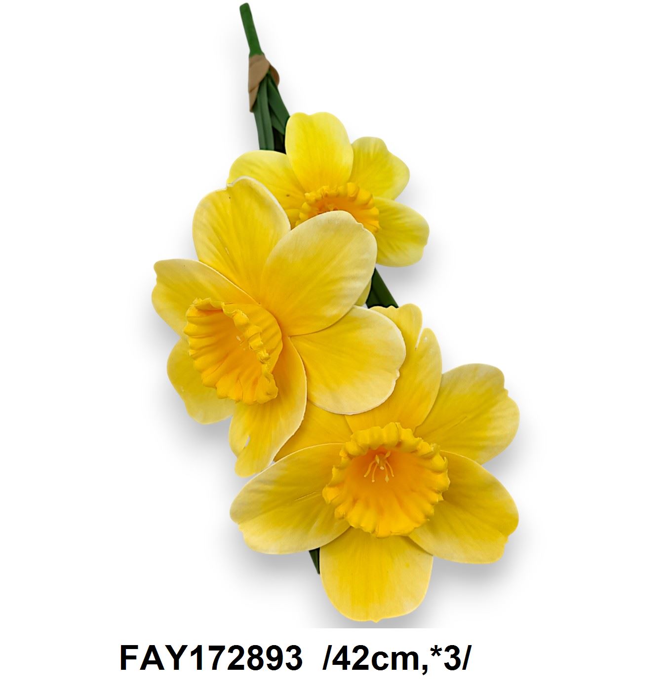 FAY172893