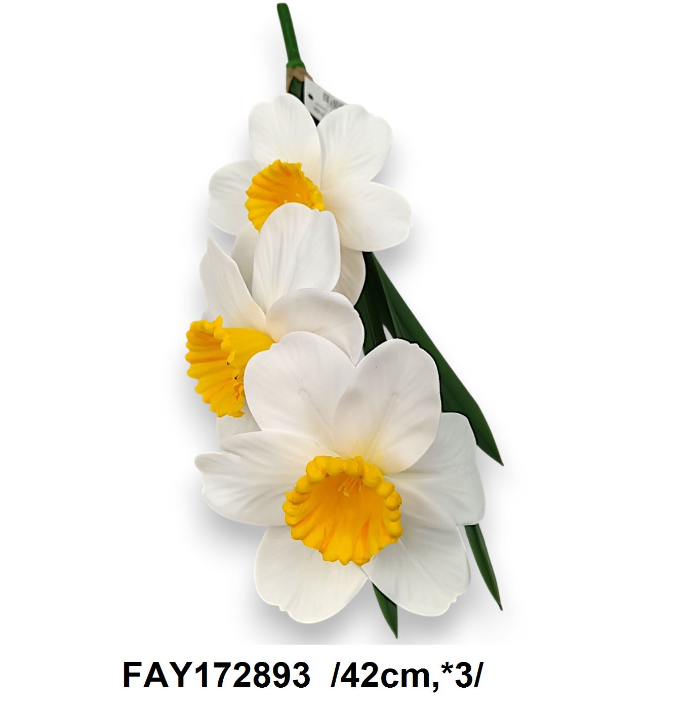 FAY172893