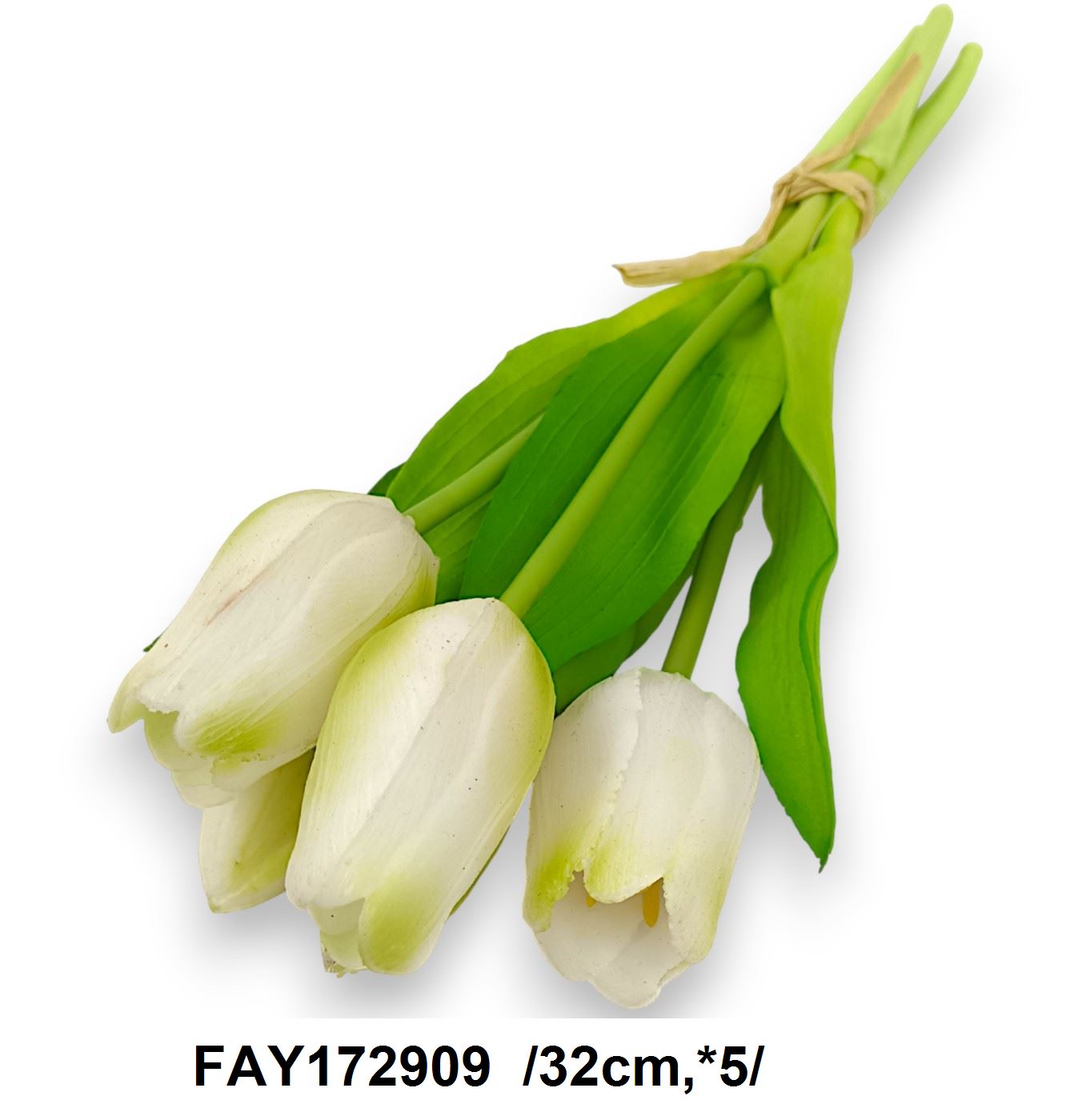 FAY172909
