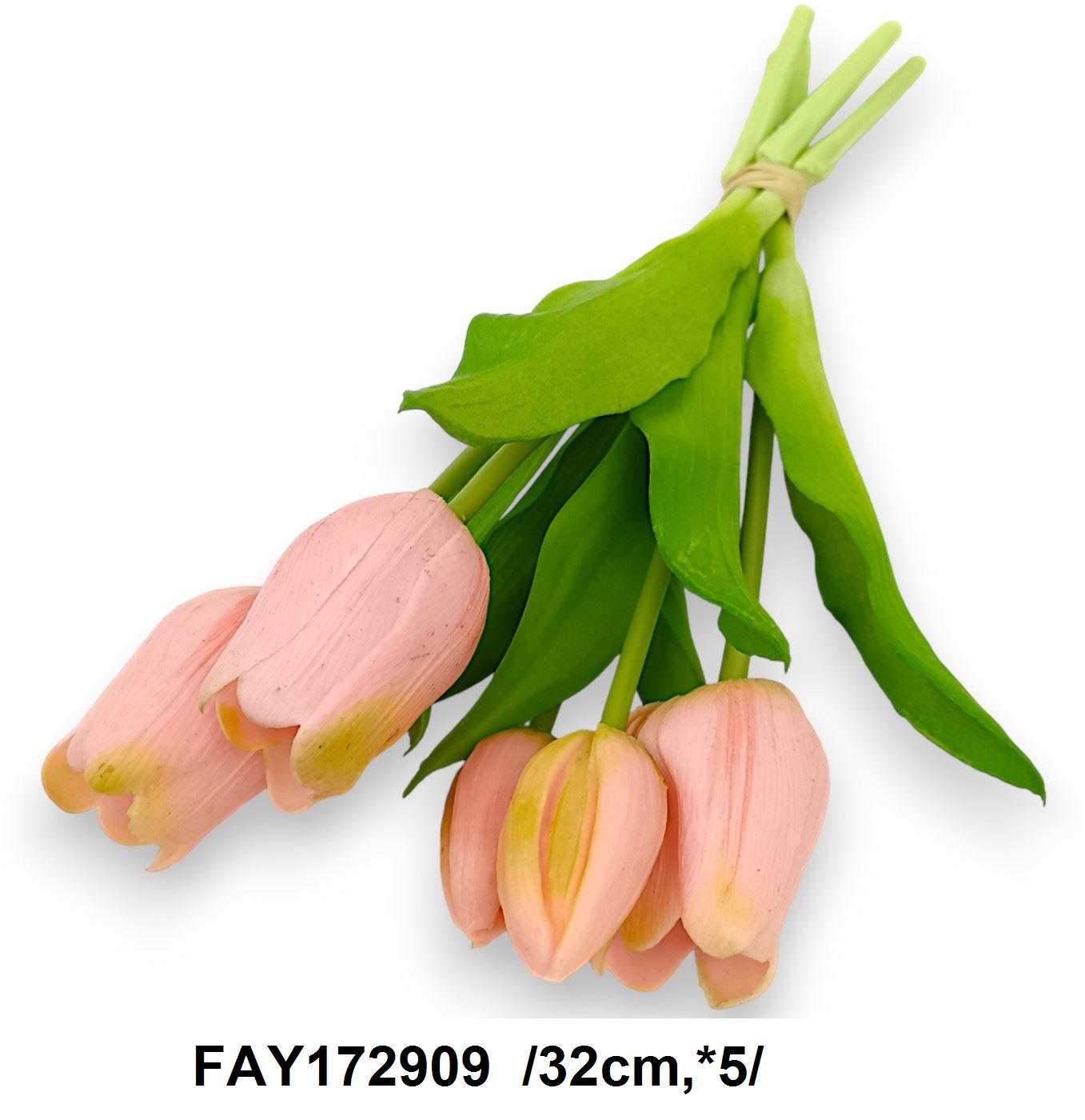 FAY172909