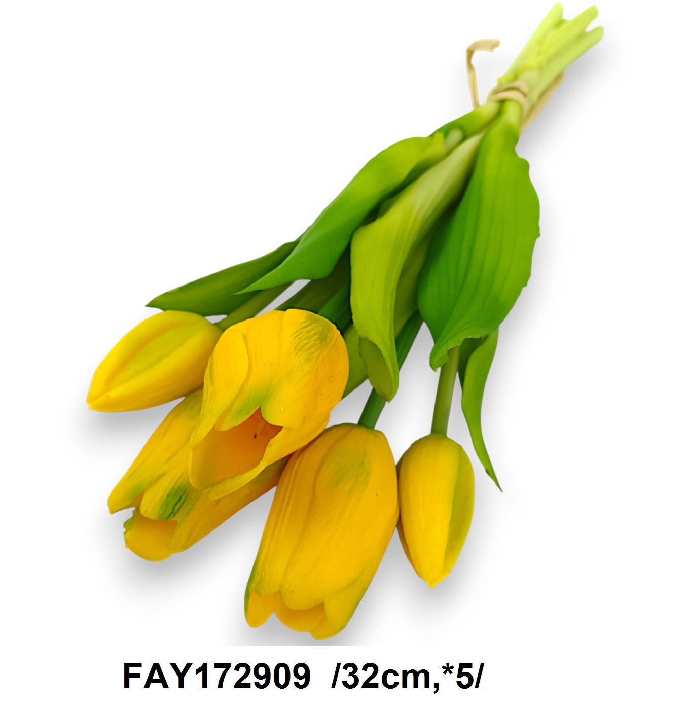 FAY172909