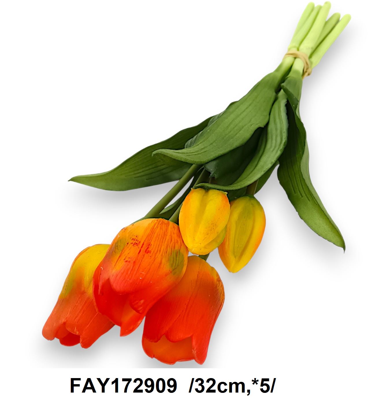 FAY172909