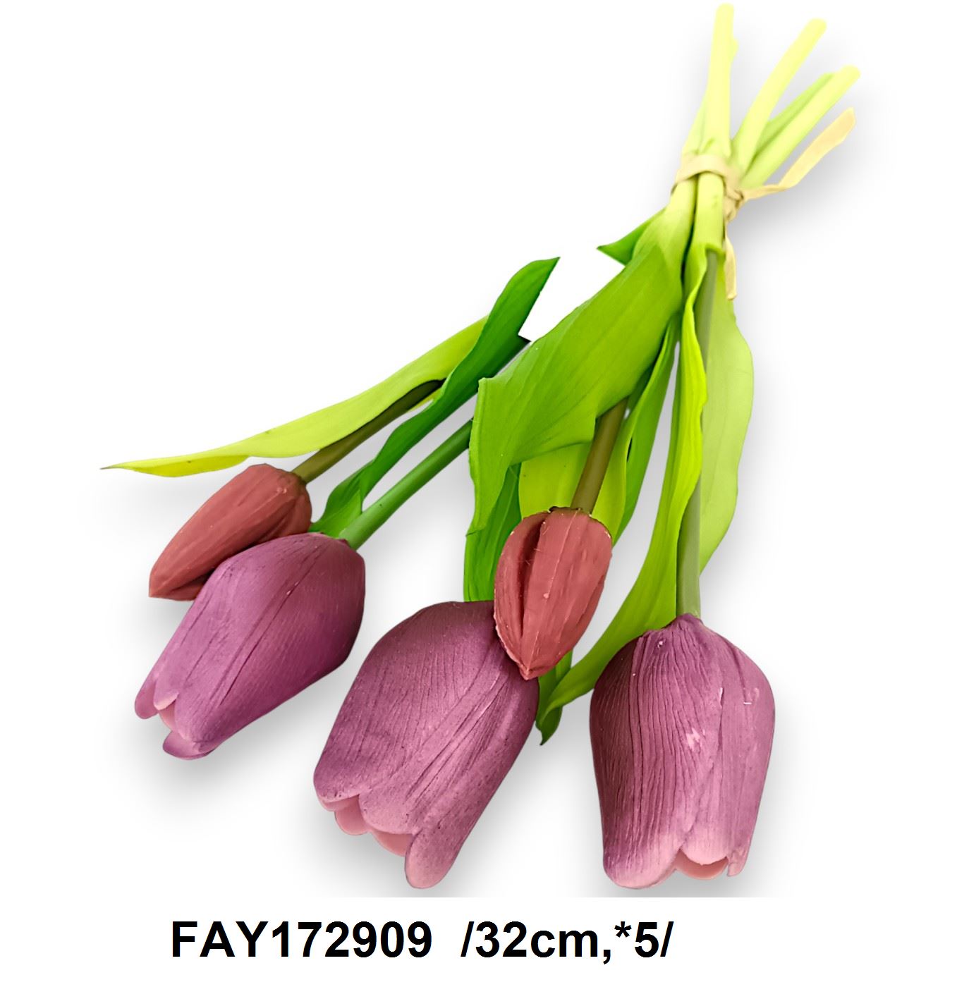 FAY172909
