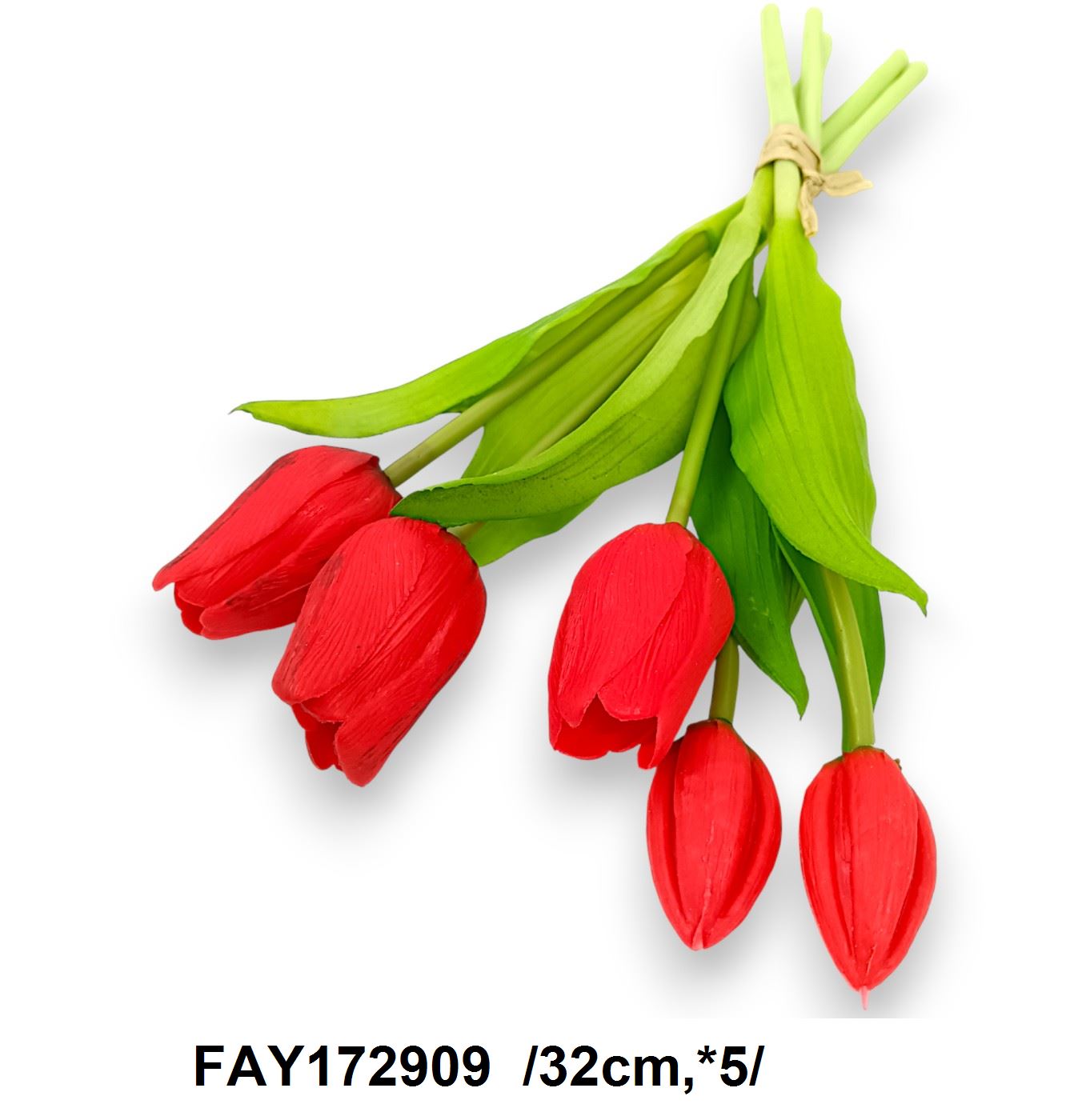 FAY172909