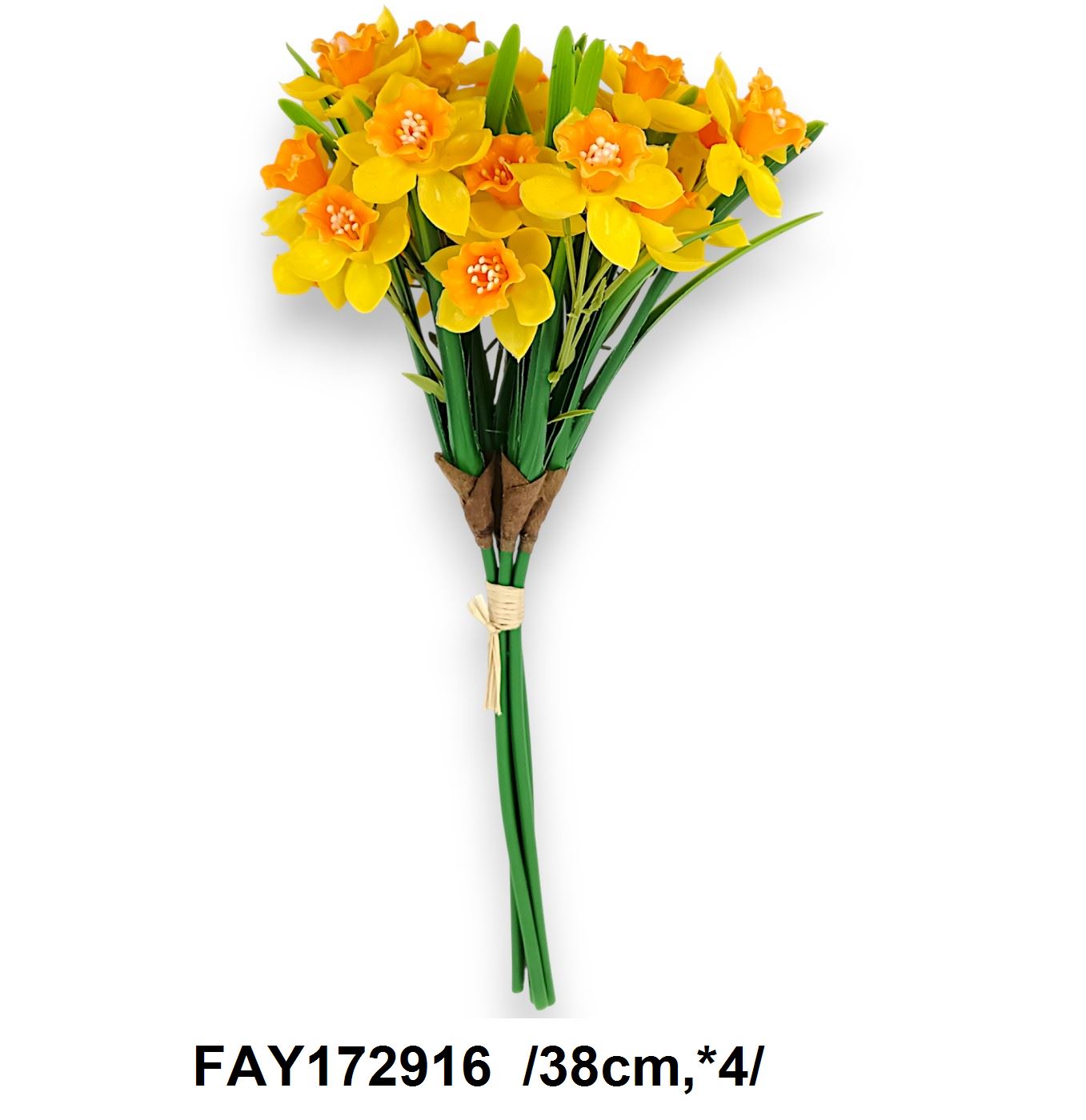 FAY172916