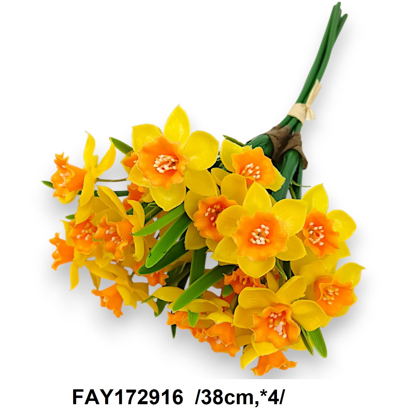 FAY172916