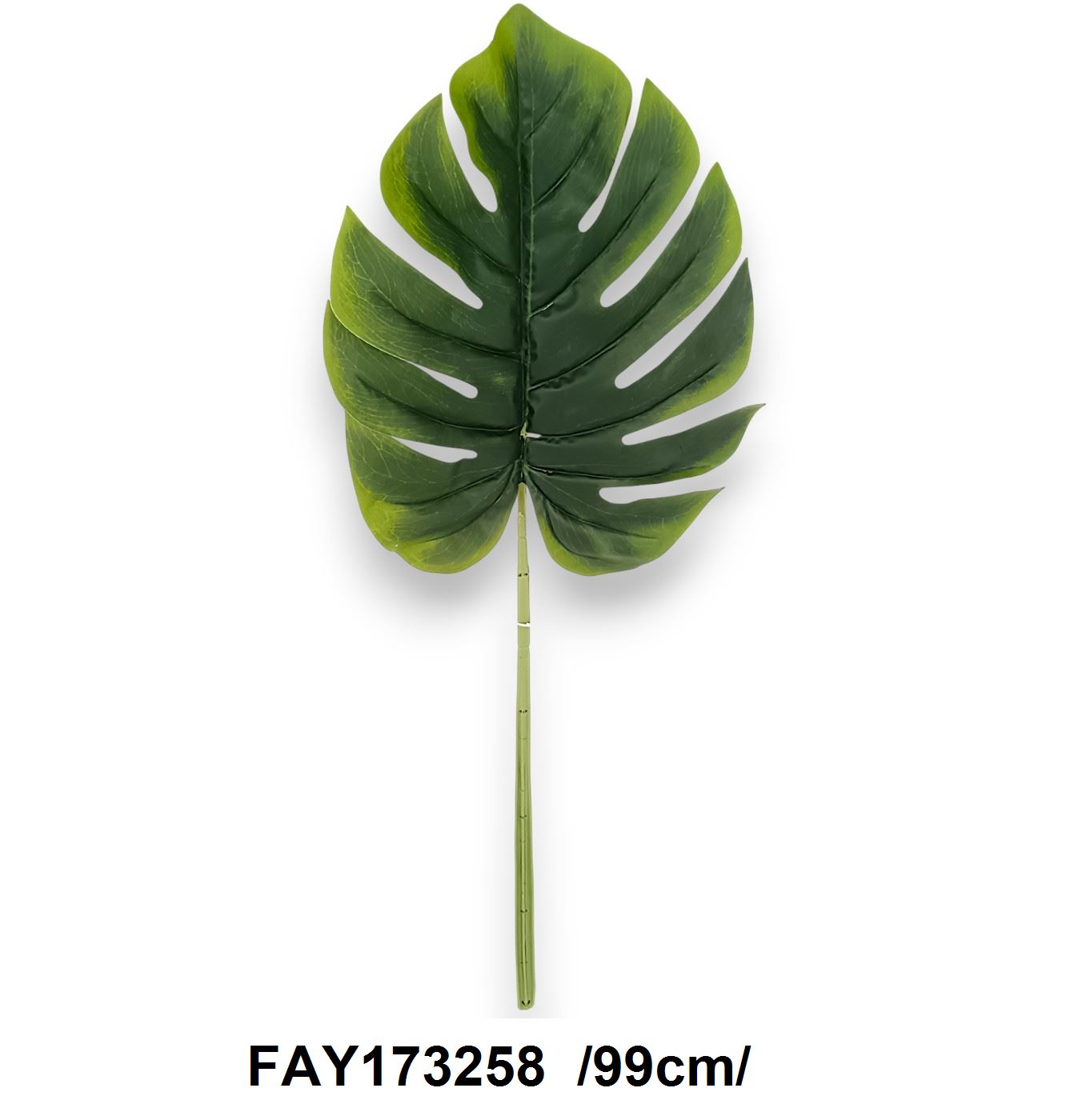 FAY173258
