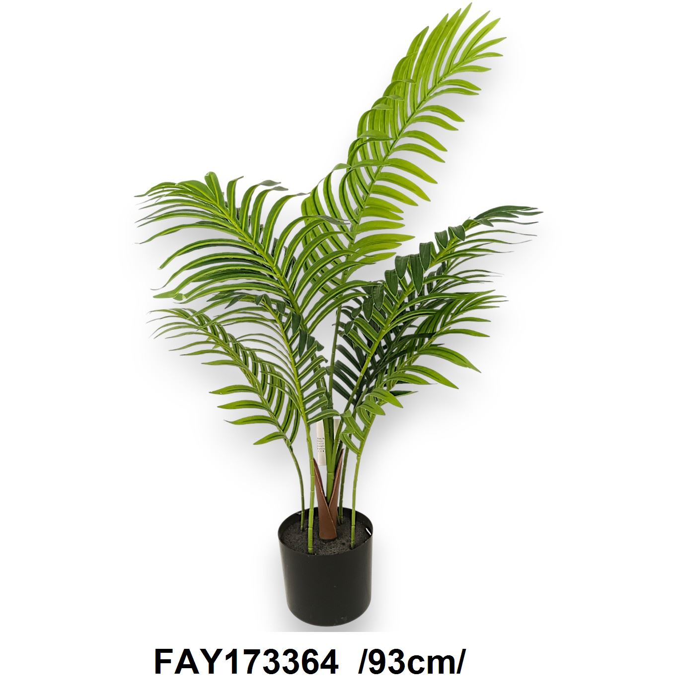 FAY173364