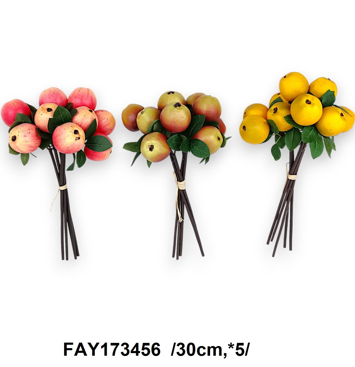 FAY173456