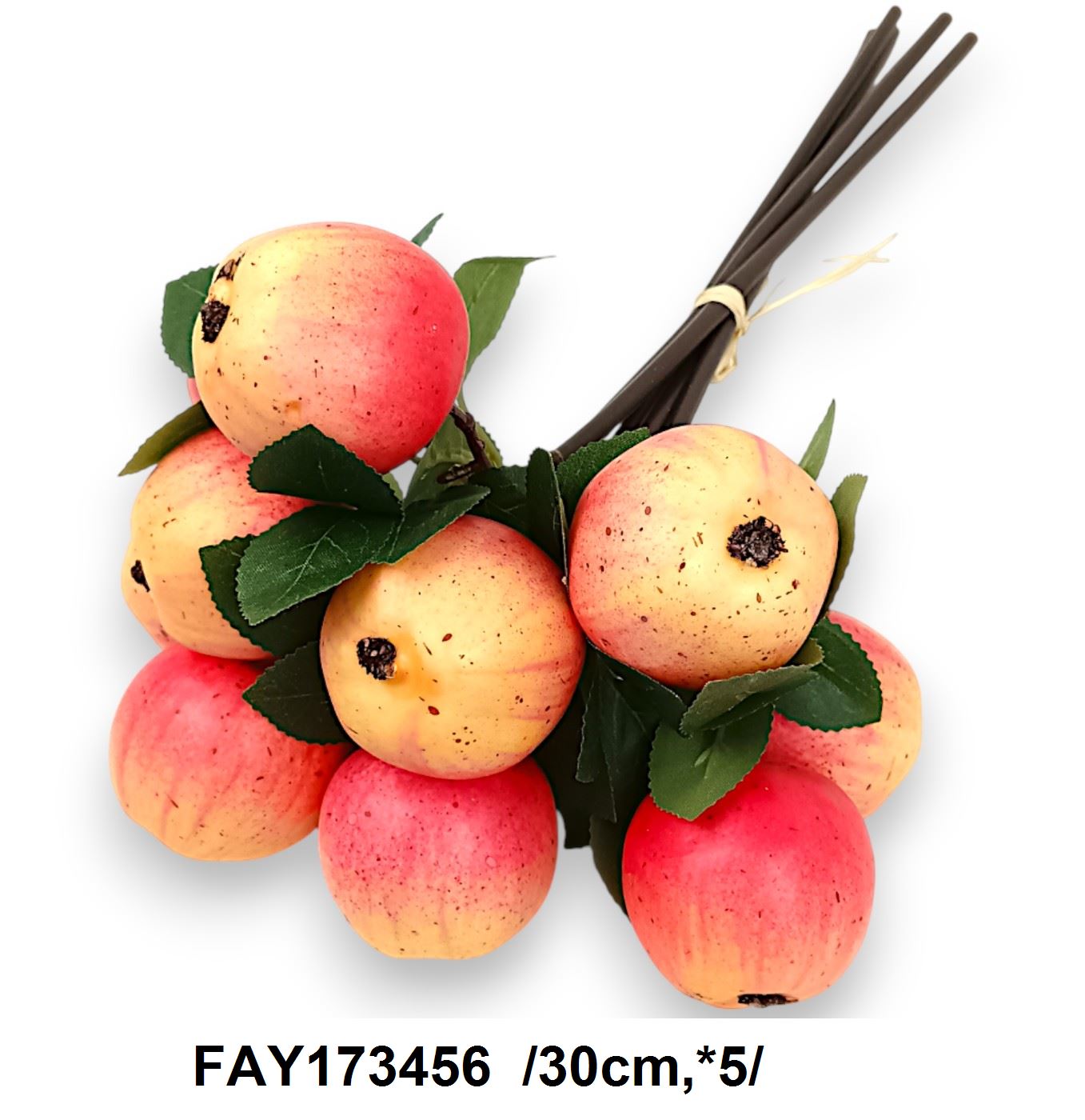 FAY173456