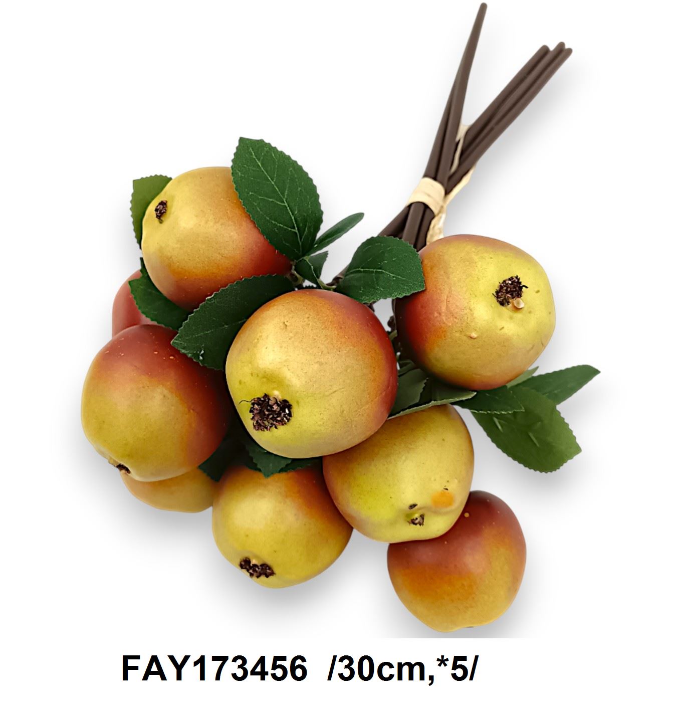 FAY173456