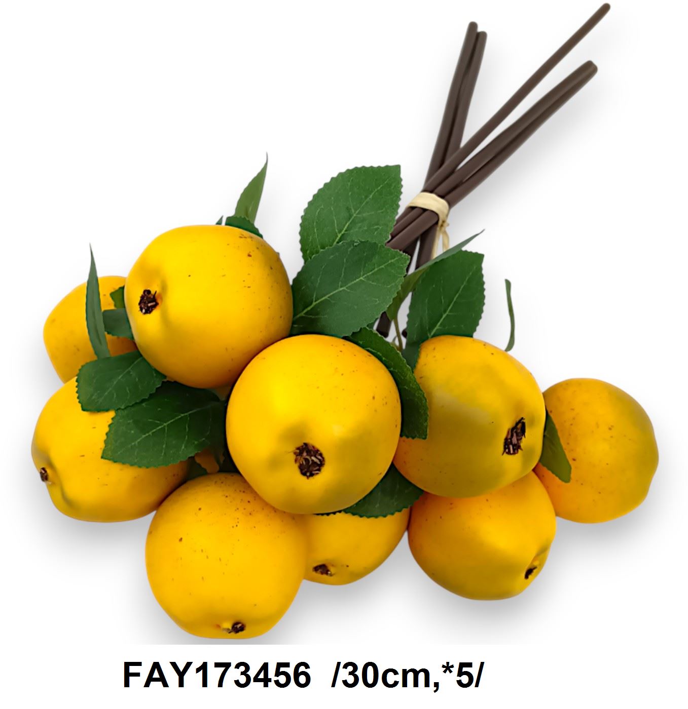 FAY173456