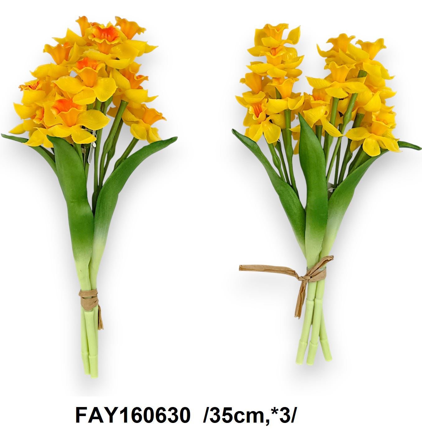 FAY160630